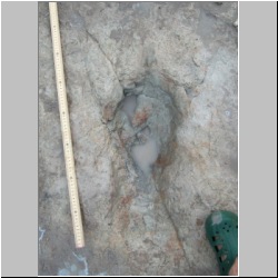 102_6458 (2013-08-09)mod.JPG